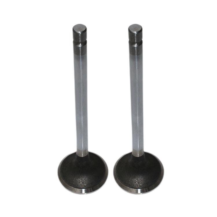 4981794 Intake Valve Cummins 6L Heavy Truck Locomotive Industrial Marine Diesel Engine Parts